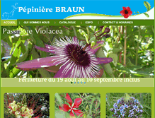 Tablet Screenshot of pepiniere-braun.com